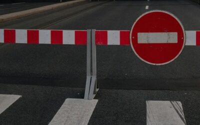 Why Most Brief Formatting Software Prevents you from Making the Best Possible Argument